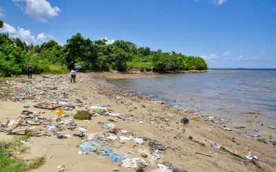 International Coastal Clean-up (ICC) 2025